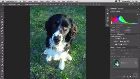 Photoshop CC Fundamentals