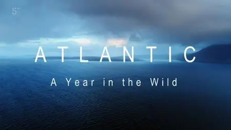 Channel 5 - Atlantic: A Year in the Wild (2018)