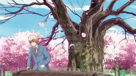 Kono Oto Tomare - TV  SP  - " Kono Oto Tomare - 04 (BD 1920x1080 x 264 FLACx2 mkv" yEnc