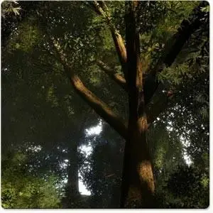 Digimation Speed Tree 4.1 Full