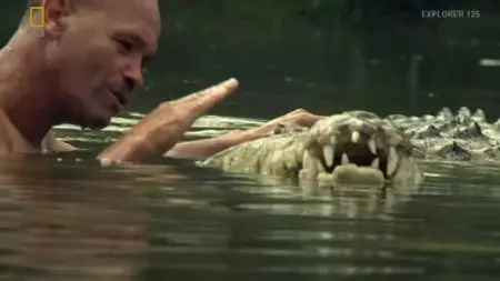 National Geographic - Explorer 125: The Man Who Swims with Crocodiles (2013)