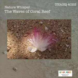 Mick Sawaguchi - Nature Whisper: The Waves of Coral Reef (2023) [Official Digital Download 24/96]