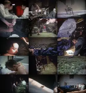 Nekromantik (1987)