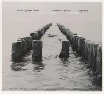 Free Fall - Gray Scale (2010)