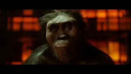 Lucy / Люси (2014)