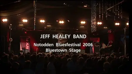 Jeff Healey - Songs From The Road (2009)