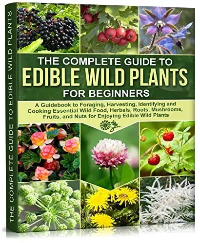 The Complete Guide To Edible Wild Plants For Beginners