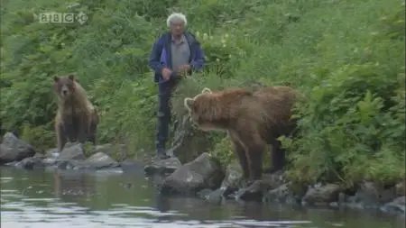 BBC Natural World - The Bear Man of Kamchatka (2006)