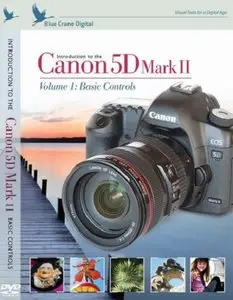 Introduction to the Canon 5D Mark II: Volume 1 - Basic Controls