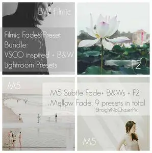 CreativeMarket - The Filmic Fades Bundle VSCO BW