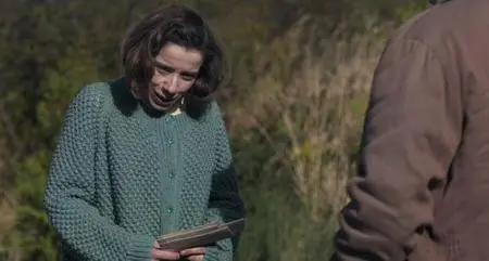 Maudie - Una vita a colori (2016)