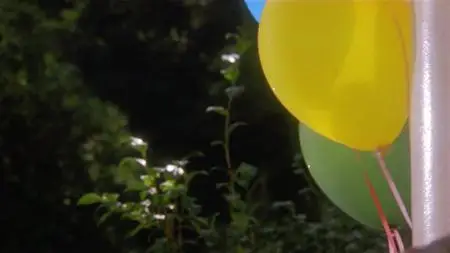 Shakes the Clown (1991)