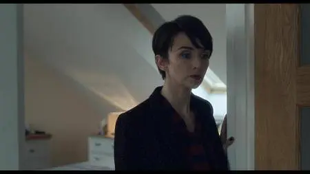 Acceptable Risk S01E01-06 (2017)