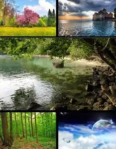 Premium Wallpapers 32