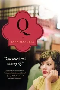 Q: A Novel - Evan Mandery 