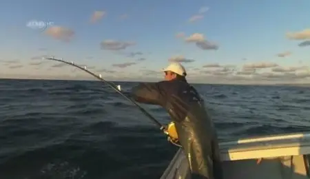 UKTV - Superfish: Bluefin Tuna (2010)