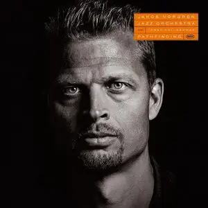 Jakob Norgren Jazz Orchestra - Pathfinding (2015)