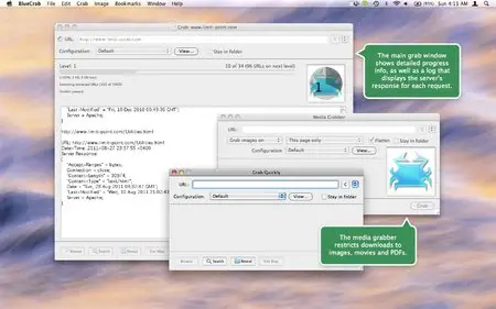 Limit Point Blue Crab v5.0.06 Mac OS X