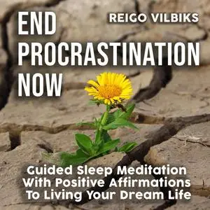 «End Procrastination Now» by Reigo Vilbiks
