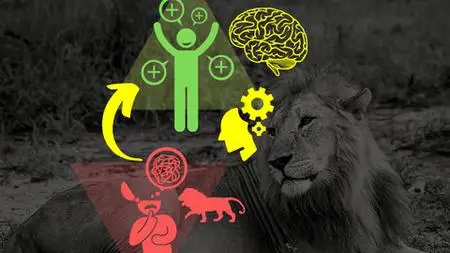 Psychology of Stress: Understand to Leverage & Lower Stress