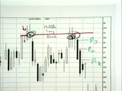Steve Nison - Profiting with Japanese Candlestick