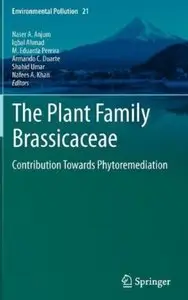 The Plant Family Brassicaceae: Contribution Towards Phytoremediation [Repost]
