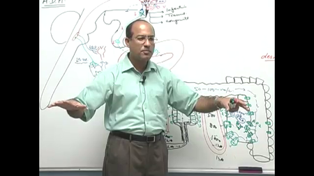 Dr. Najeeb - Endocrine Physiology (2015)