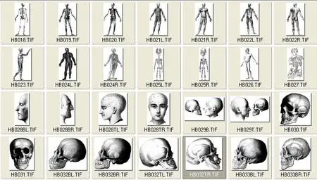 Pepin Press: Images of the Human Body