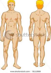 Vector Male Nude