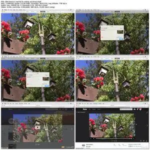 Lynda - Photos for macOS Essential Training