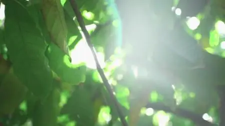 A World of Calm S01E09