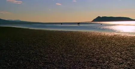Discovery Channel Sunrise Earth - Katmai Bears
