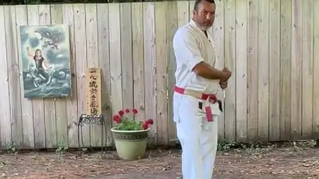 Dissect The Dissection Of Isshinryu Karate: Kusanku Kata