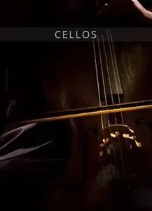 Auddict United Strings of Europe: Cellos KONTAKT