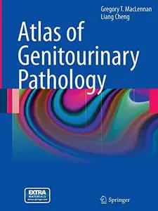 Atlas of Genitourinary Pathology (Repost)