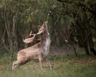 World In Photo 212