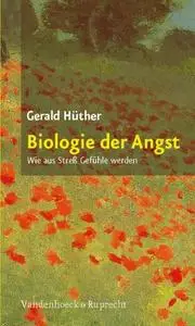 Biologie der Angst: Wie aus Stress Gefuhle werden