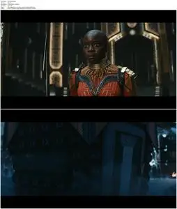 Black Panther: Wakanda Forever (2022) [IMAX]