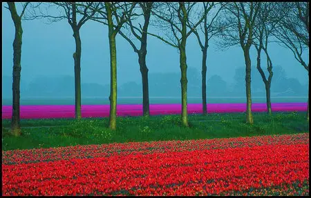 World In Photo 215