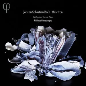 Bach - Herreweghe - Motetten (2011)