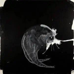 Sigur Rós - Route One (2018)