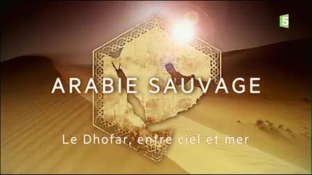 (Fr5) Arabie sauvage - Le Dhofar, entre ciel et mer (2016)