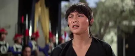 Nan Shao Lin yu bei Shao Lin (1978)