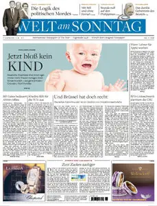 Die Welt am Sonntag 17 November 2013