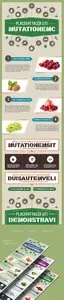 PSD Template - Infographics in Food and Nutrition Theme 3 Color Options
