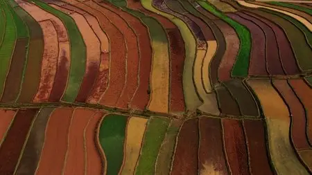 (Fr2) Human (2015)