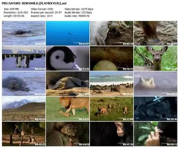 PBS NATURE - Born Wild: The First Days of Life (2010)