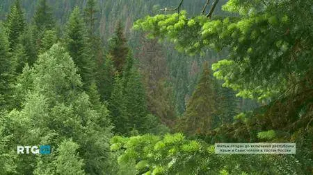The Mountain Rivers Of Karachay (2013)