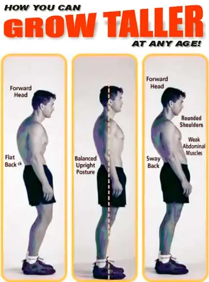 How To Grow Taller Naturally