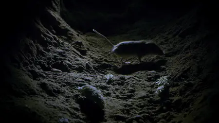 Tiny World S02E01